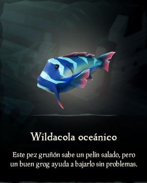 Wildacola oceánico.png