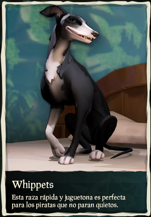 Whippets.png