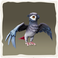 Icono del periquito de alas grises.