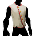 Camisa de almirante ejecutivo.png