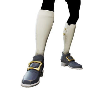 Botas de almirante.png