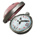 Reloj de bolsillo de lobo de mar.png