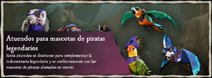 Atuendos de pirata legendario para mascotas.png