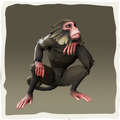 Icono del macaco sombrío.