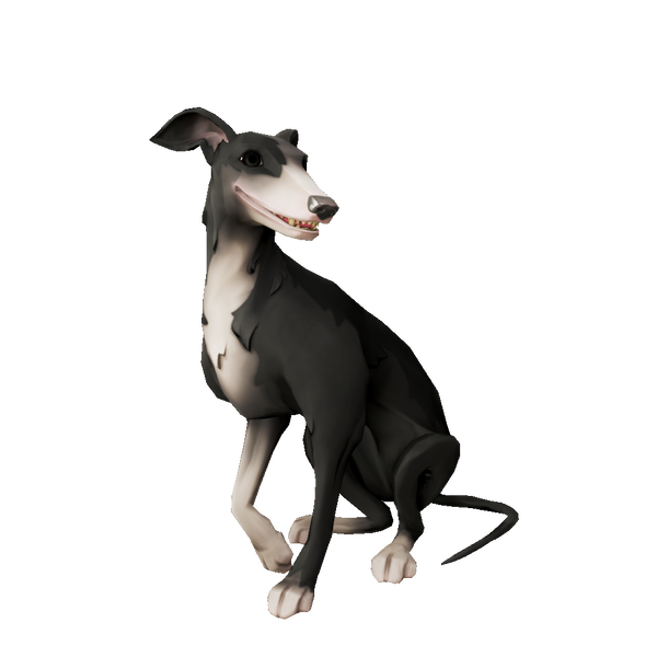 Archivo:Whippet de calcetines plateados.png