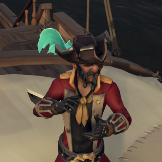 File:Pirate Lord Hat 1.png