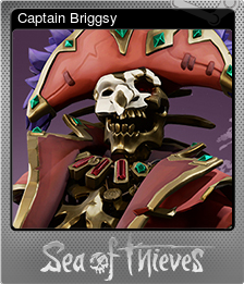 File:Trading Card Captain Briggsy Foil.png