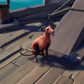 The Whippet in-game.