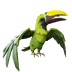 Treetop Toucan.png