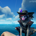 The Marmoset with the Marmoset Sea Dog Outfit equipped.