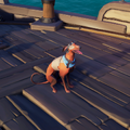 A Redback Whippet with the outfit.