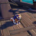 The Inu with the Inu Pirate Legend Outfit equipped.