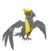Macaw Cronch Outfit.png