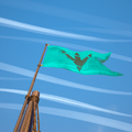 The Flag in-game