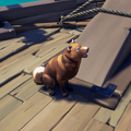 The Chocolate Inu in-game.