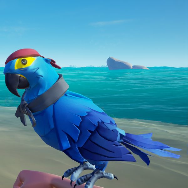 File:Azure Macaw SD.png