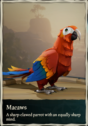 Macaws.png