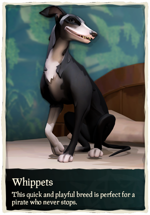 Whippets.png