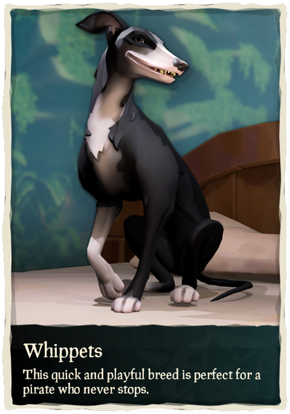 File:Whippets.png