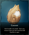 Coconut in a player's inventory.