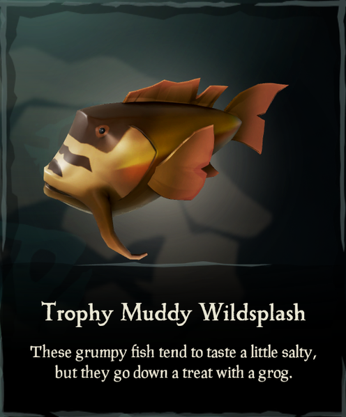 File:Trophy Muddy Wildsplash.png