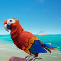 A red Crimson Macaw