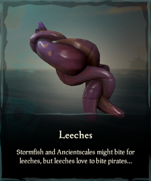 Leeches inventory panel.png