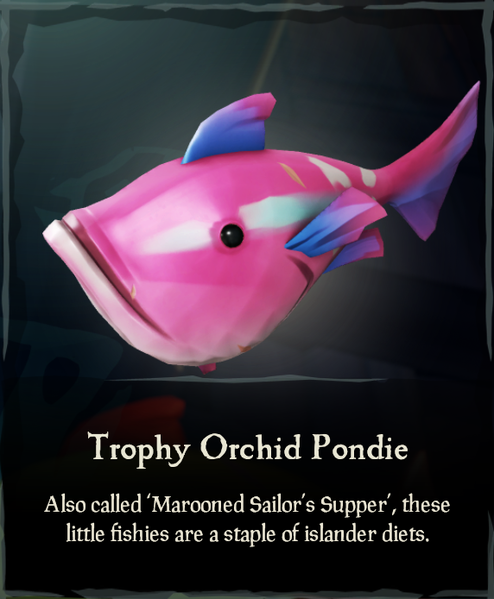 File:Trophy Orchid Pondie.png