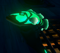 An example of the fish glowing at night