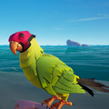 A green and magenta Plumcap Macaw