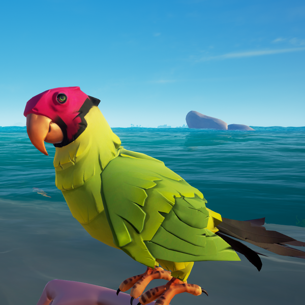 File:Plumpcap Macaw1.png