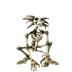 Skeleton Marmoset.png