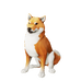 Coral Inu.png