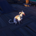The Whippet with the Whippet Bilge Rat Outfit equipped.