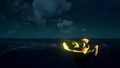 The fish glowing at night.