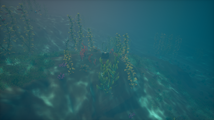 The Ancient Chest is lying on the ocean floor off of the marked island. Look for the white glint.