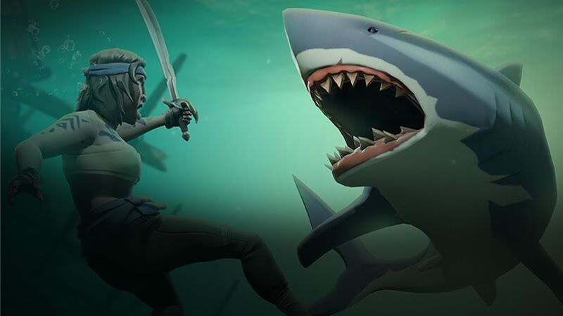 File:Shark Attack.jpg