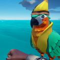 The Macaw with the Macaw Cronch Outfit equipped.