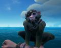 The Capuchin with the Capuchin Sea Dog Outfit equipped.