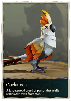 Cockatoos.png