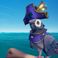 The Parakeet with the Parakeet Pirate Legend Outfit equipped.