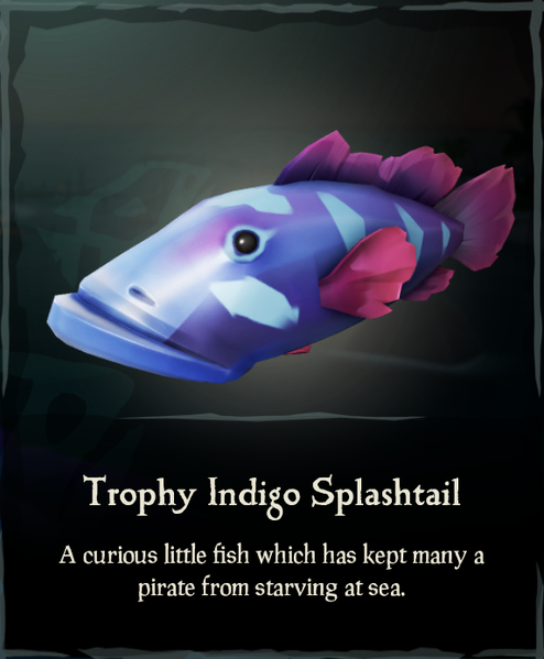 File:Trophy Indigo Splashtail.png