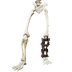 Ironfoot Lower Body.png