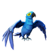 Azure Macaw.png