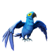 Azure Macaw.png