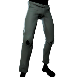 Rogue Sea Dog Trousers.png