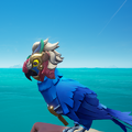 The Macaw with the Macaw Lunar Festival Outfit equipped.