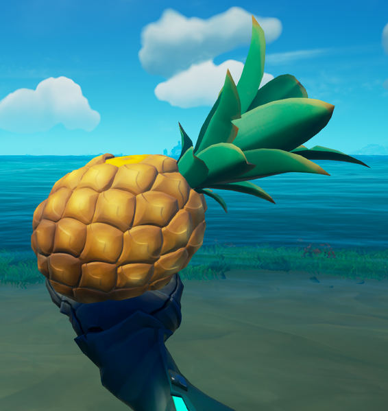 File:Pineapple in hand.png