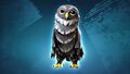 Black Banded Owl promotional image.
