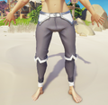 The Trousers on a player front view.